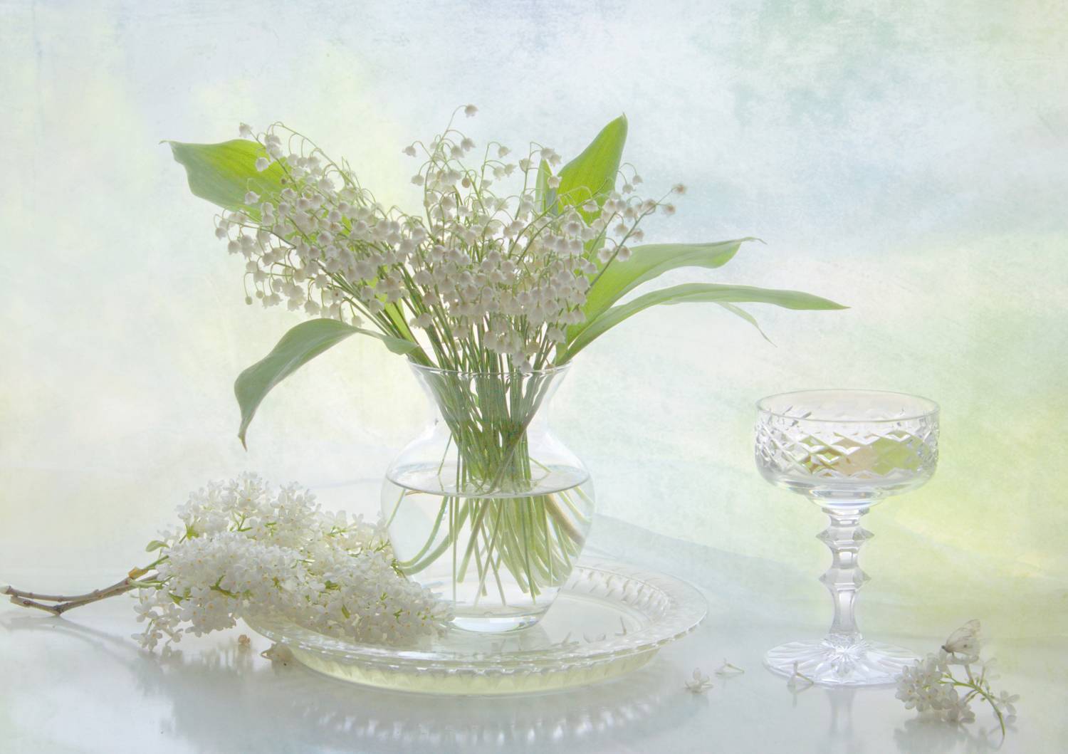 , Хохлова Наталья