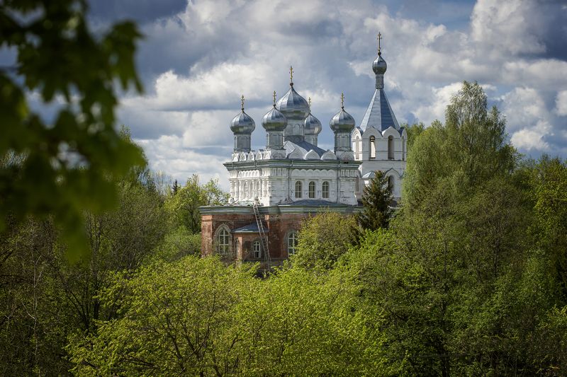 Утопая в зелени. фото превью