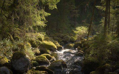 Каменный ручей