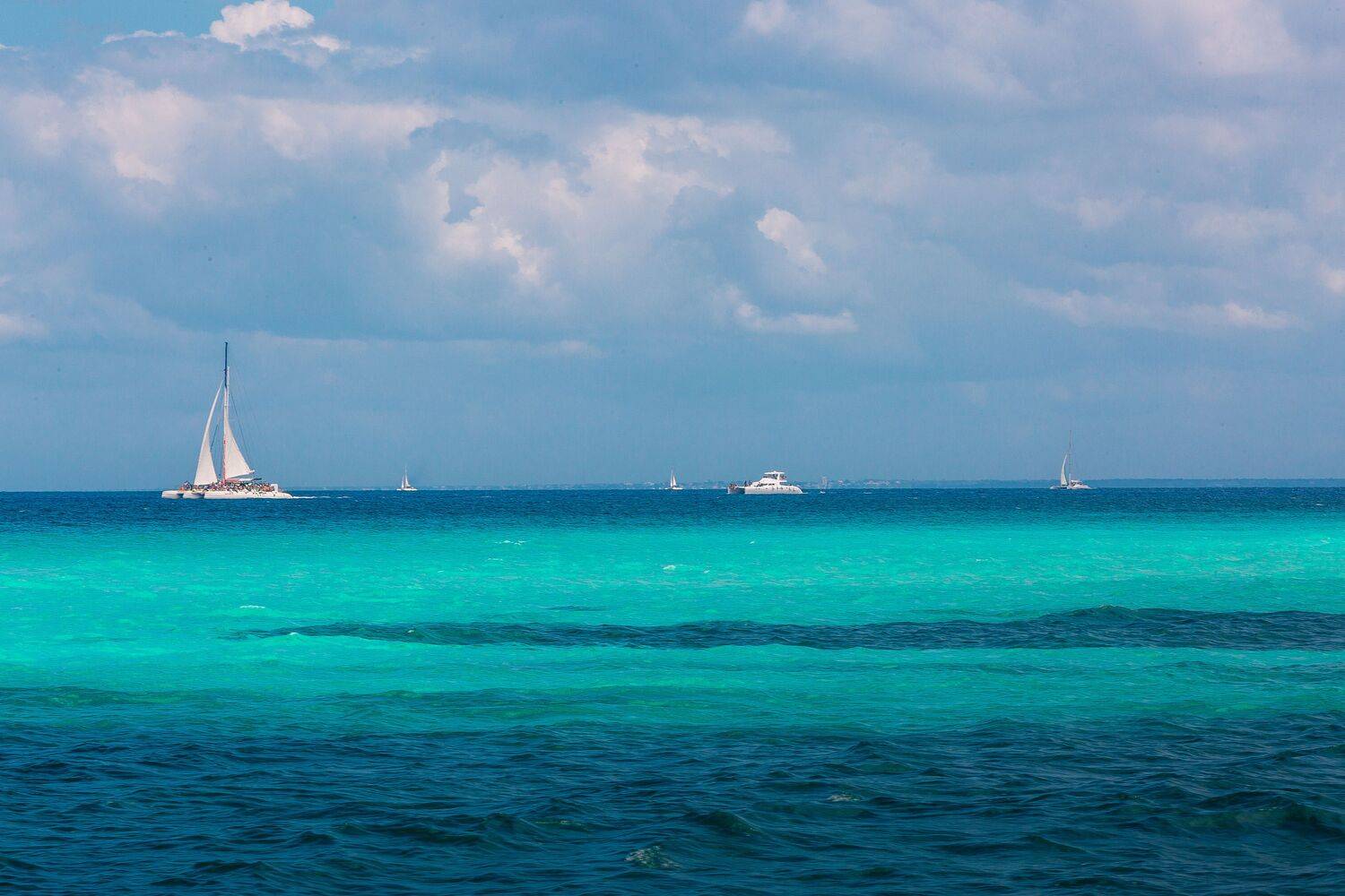 , Трепольский Дмитрий