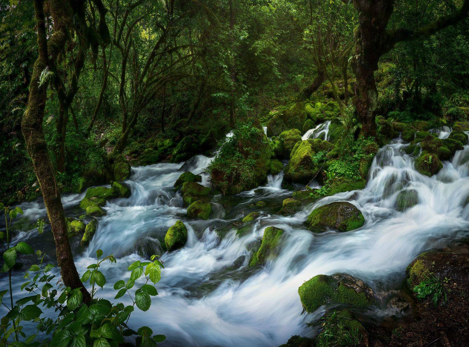 #Georgia #landscape #nature #longexposure #spring #water #outdoor, Helen Vasilieva