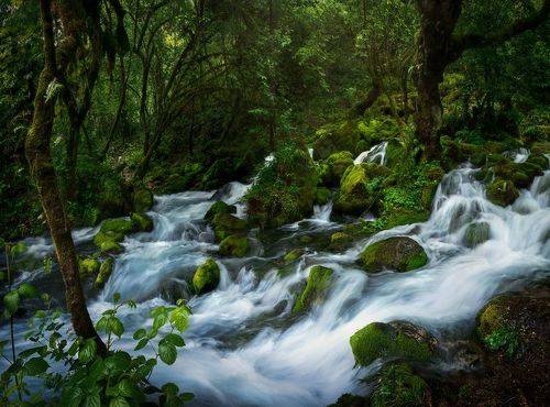 Shurubumu, Georgia.