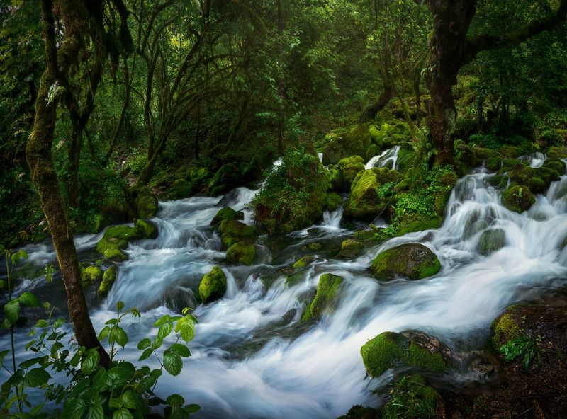 #Georgia #landscape #nature #longexposure #spring #water #outdoor Shurubumu, Georgia. фото превью
