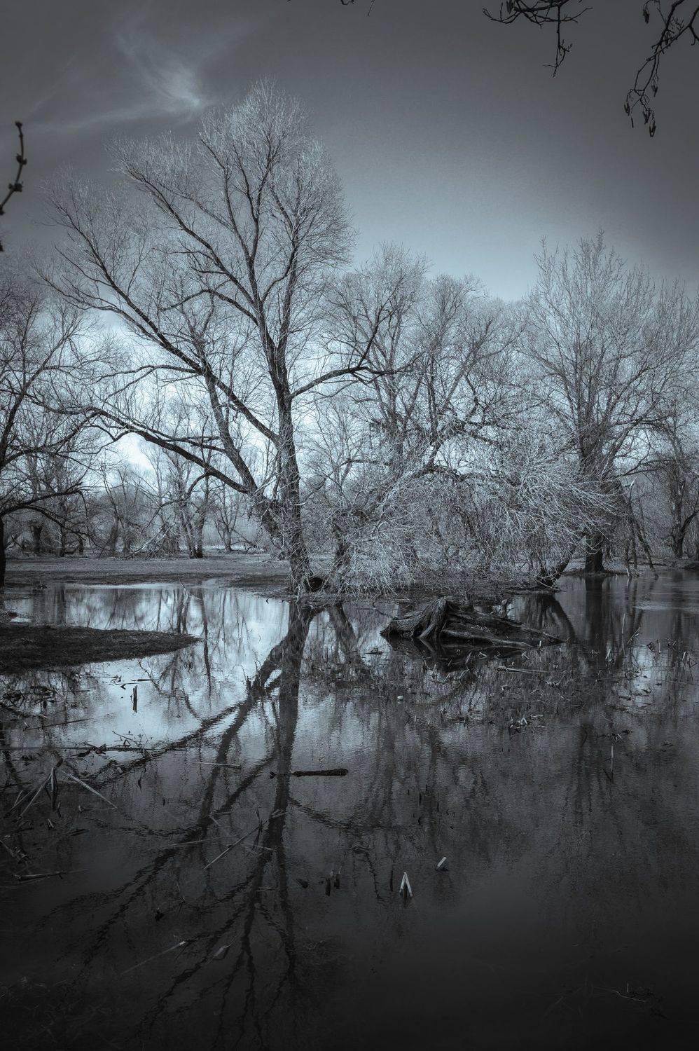 , Караваев Антон