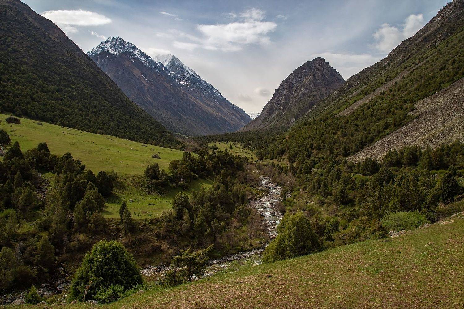 кыргызстан, Элина Магалимова