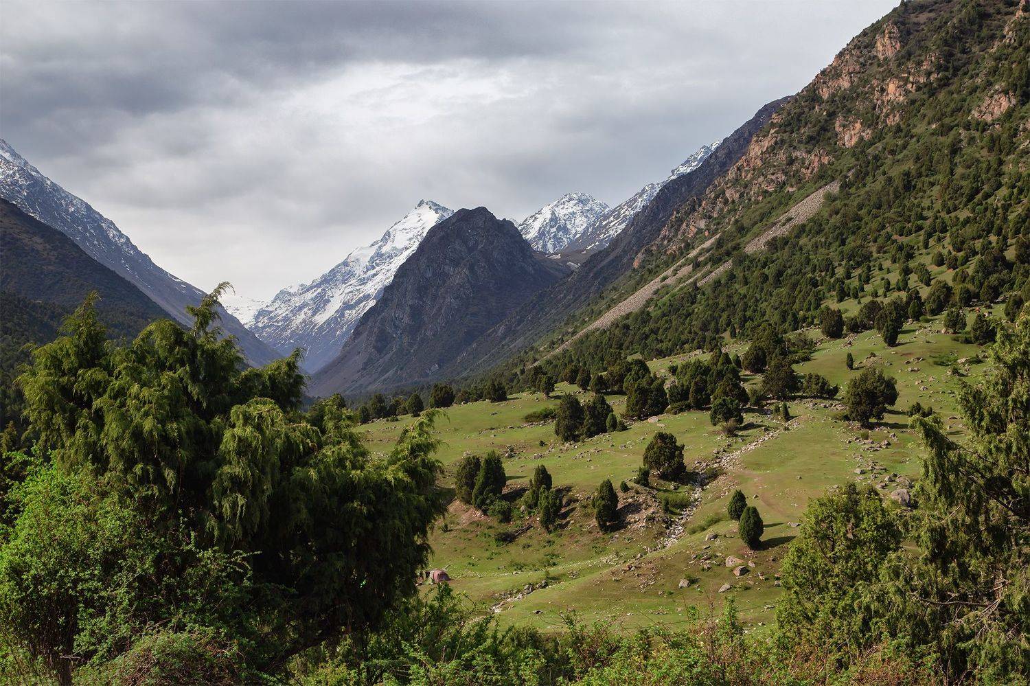 кыргызстан, Элина Магалимова