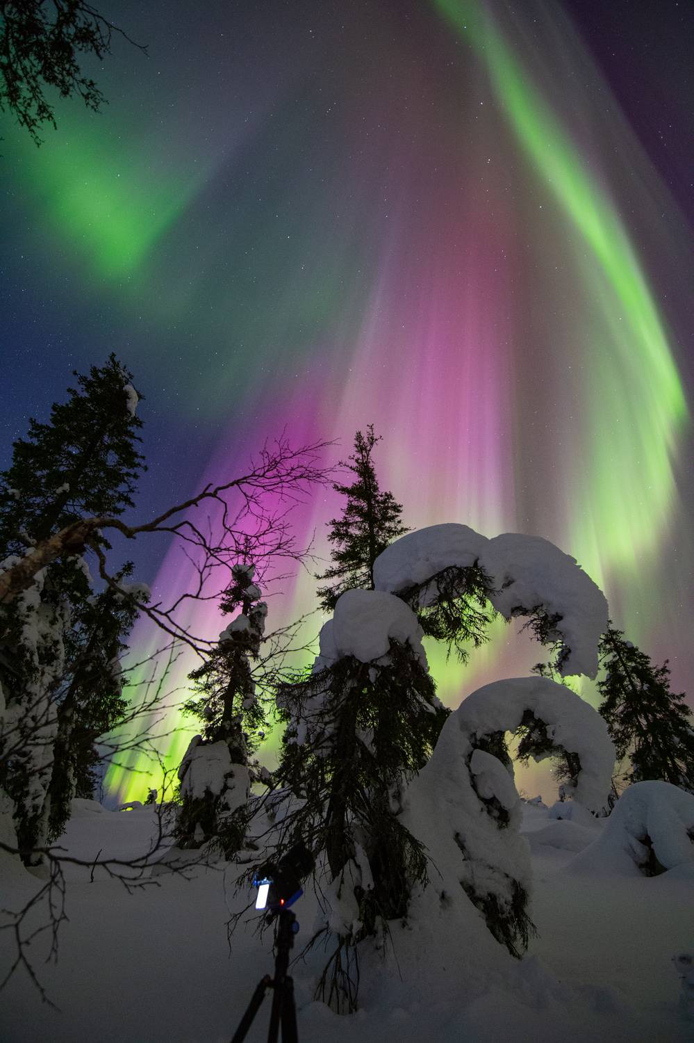 , Михаил Рева