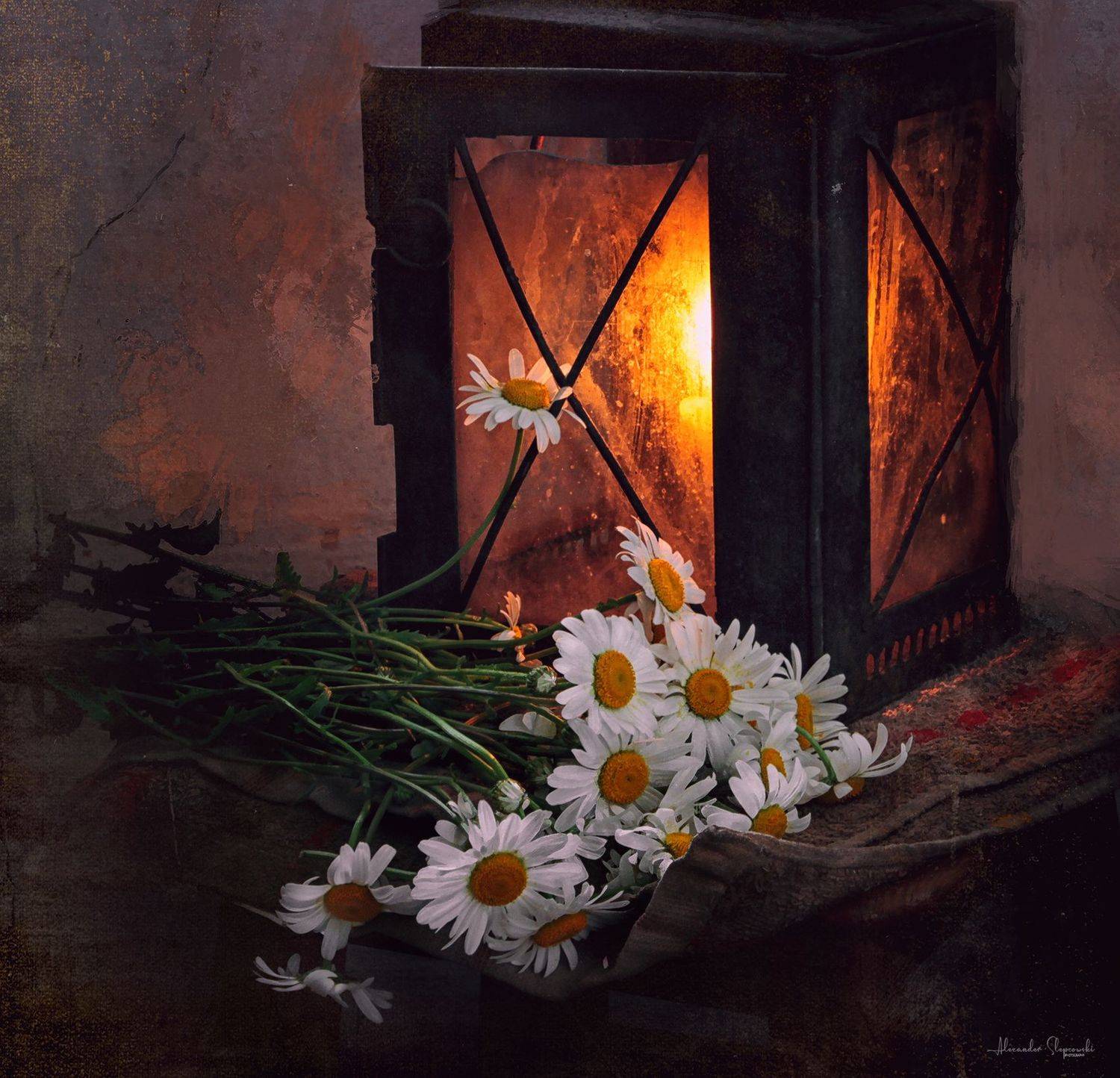 , Alexander Slepcowski