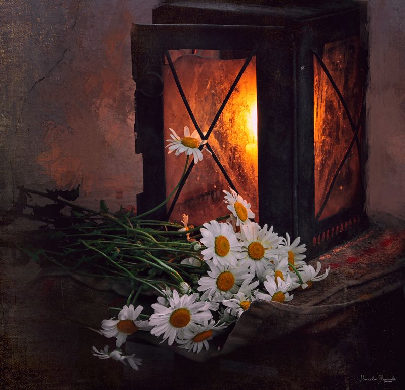 Once... фото превью