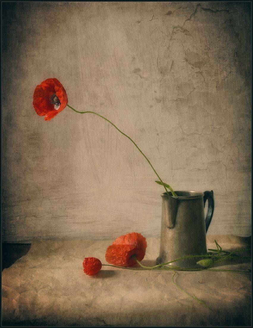 , Хромеев Александр