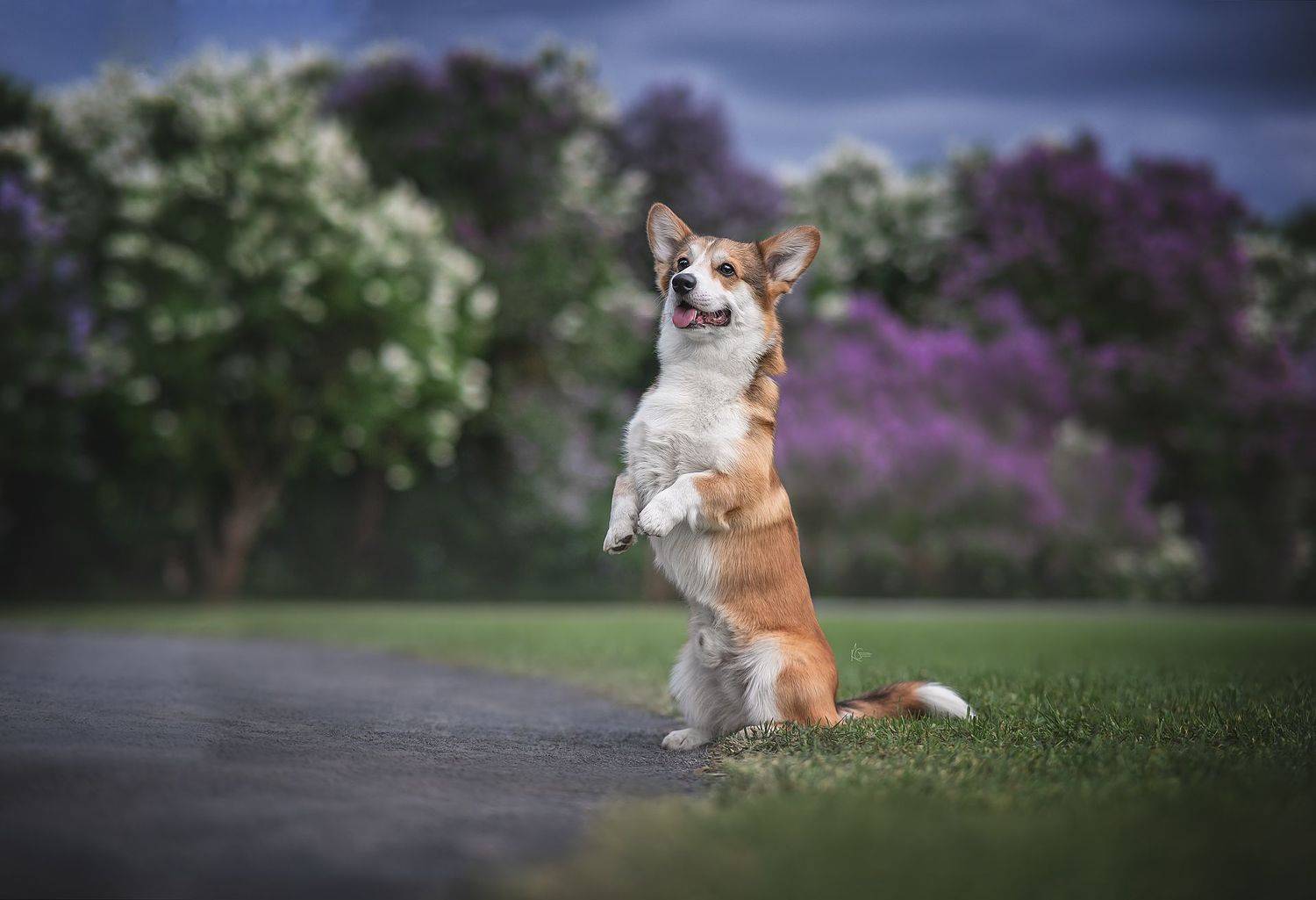 , Коптилина Галина