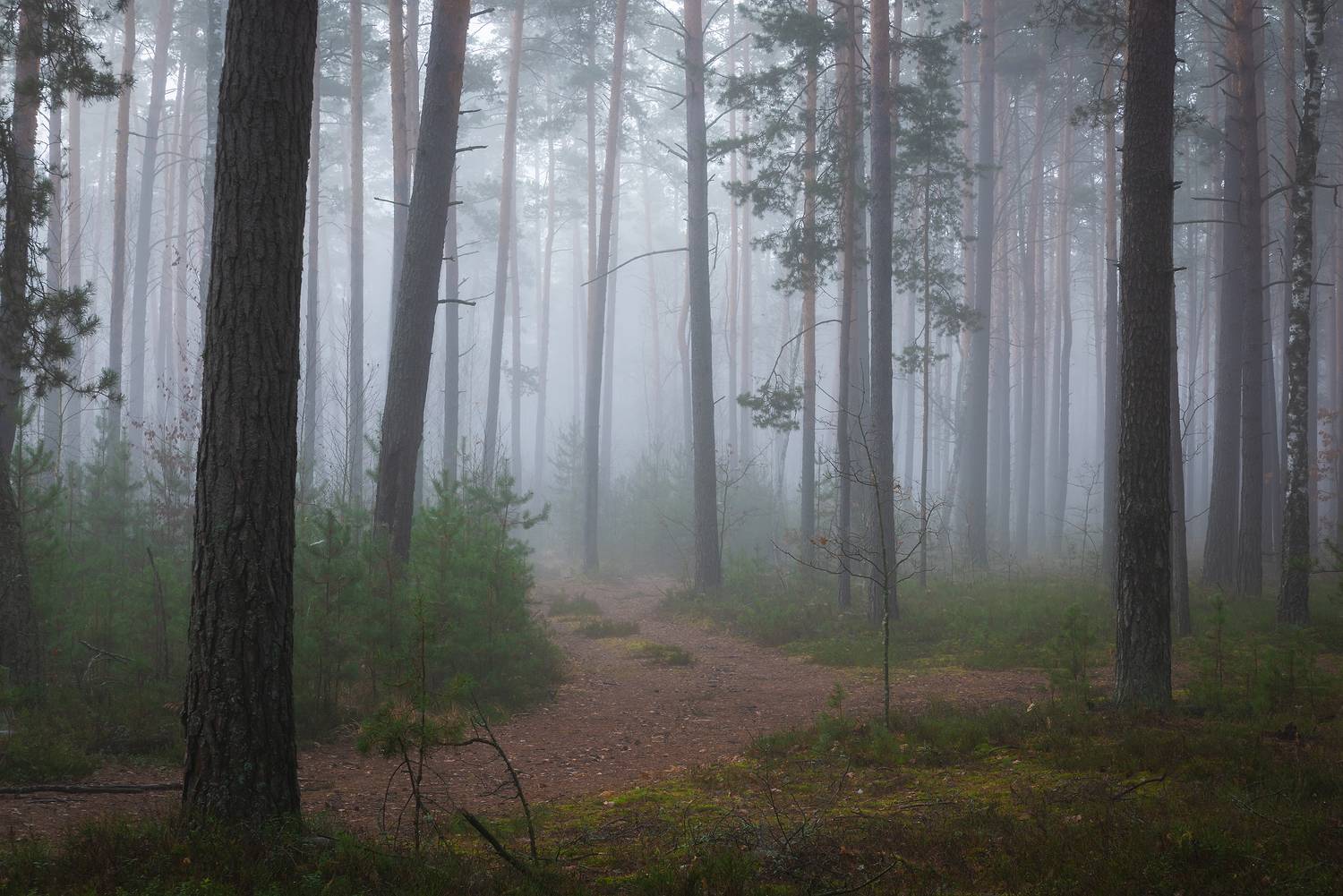 , Захаров Дмитрий