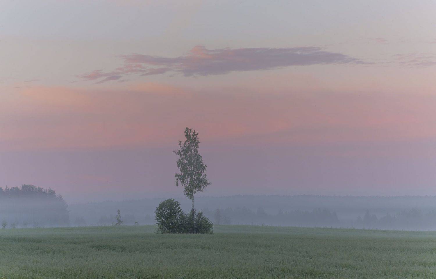 #topnature #russpasibo #magic_shots #lovelyRussia #sunset_vision #exclusive_sky  #exclusive_shots #loves_russia2 #photoarena_nature #nature_sultans #nature_perfection #rsa_sky #rsa_sunset #photorussia #rsa_naturepics #sunsetsRussia #landscape_Russia #love, Владимир Рябков
