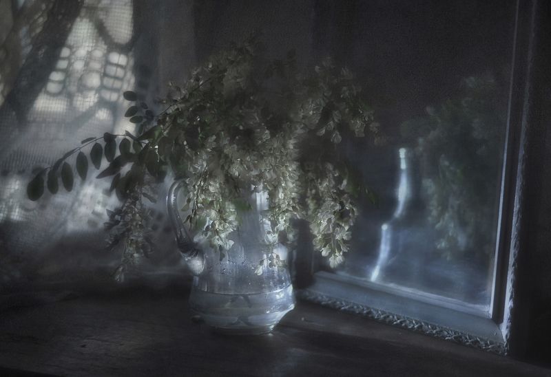 Сладкая ночь уходящего мая фото превью