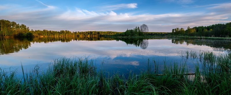Вечер на подмосковном озере фото превью