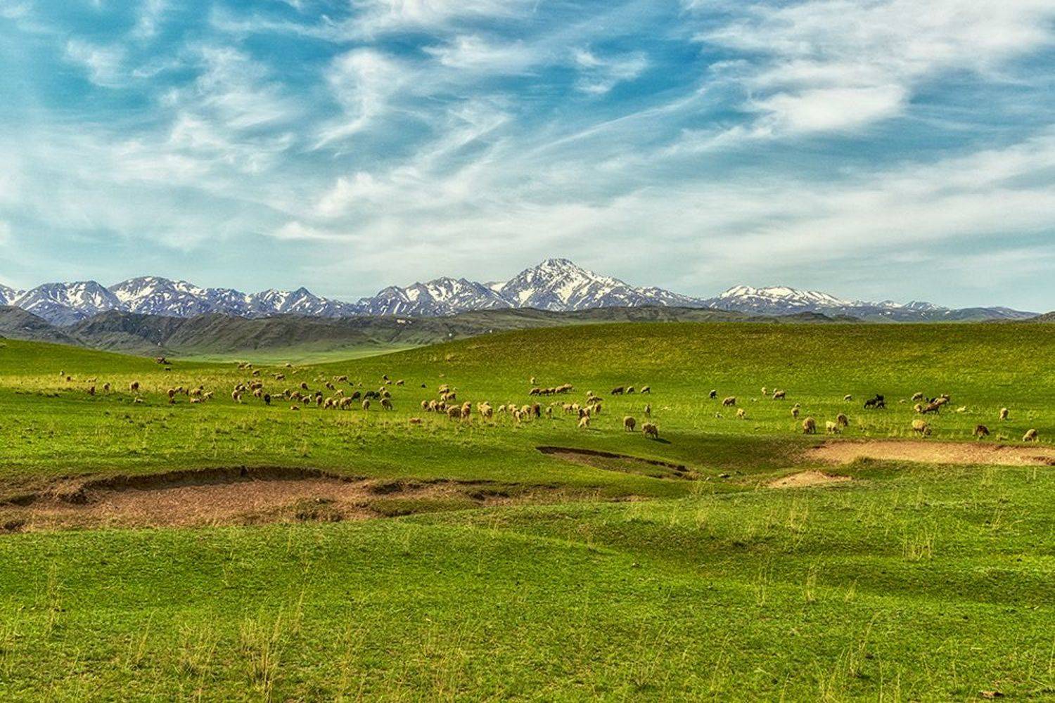 , Лазарев Сергей