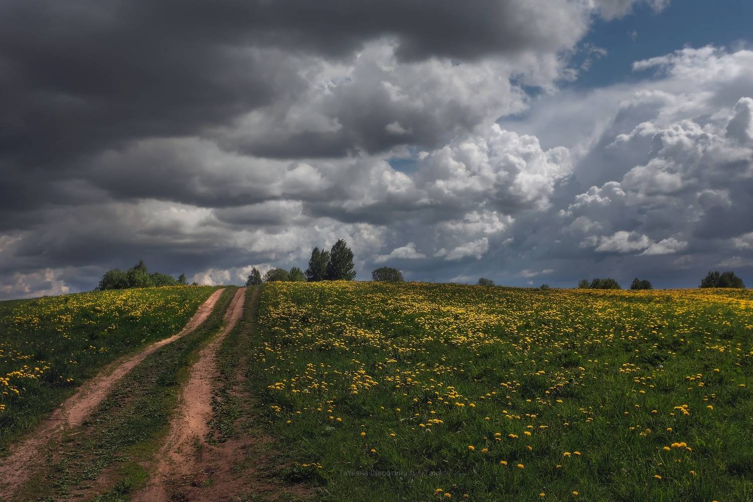 пейзаж, ленобласть, landscape, nature, природа, ленинградская область, Щепотина Татьяна