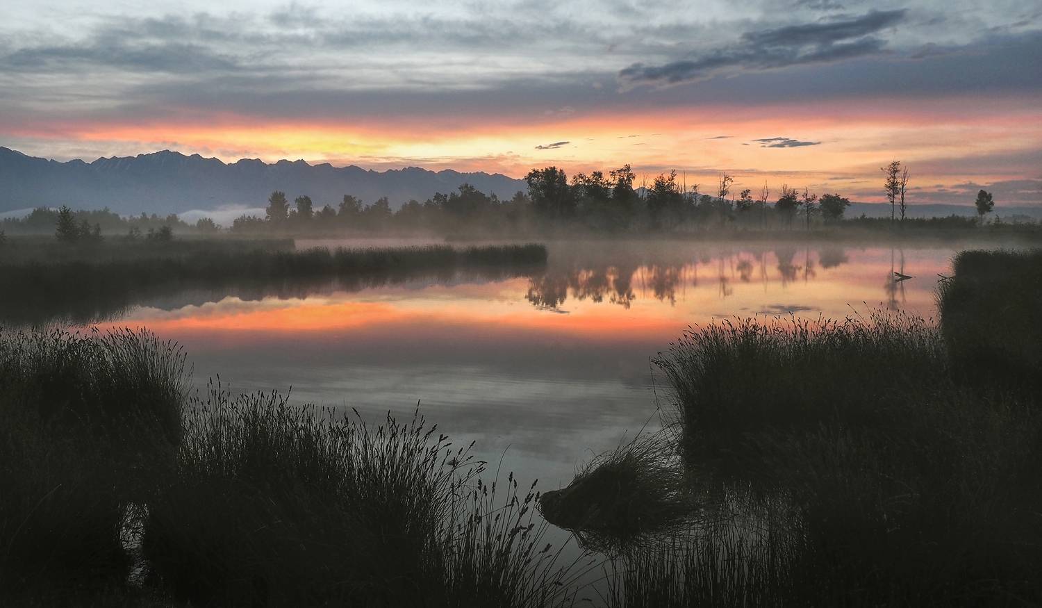 , Александр Попов