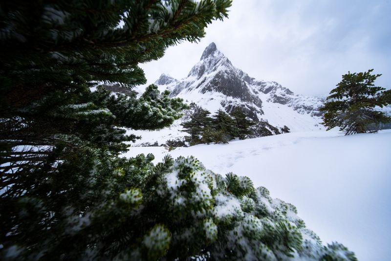 Winterland фото превью