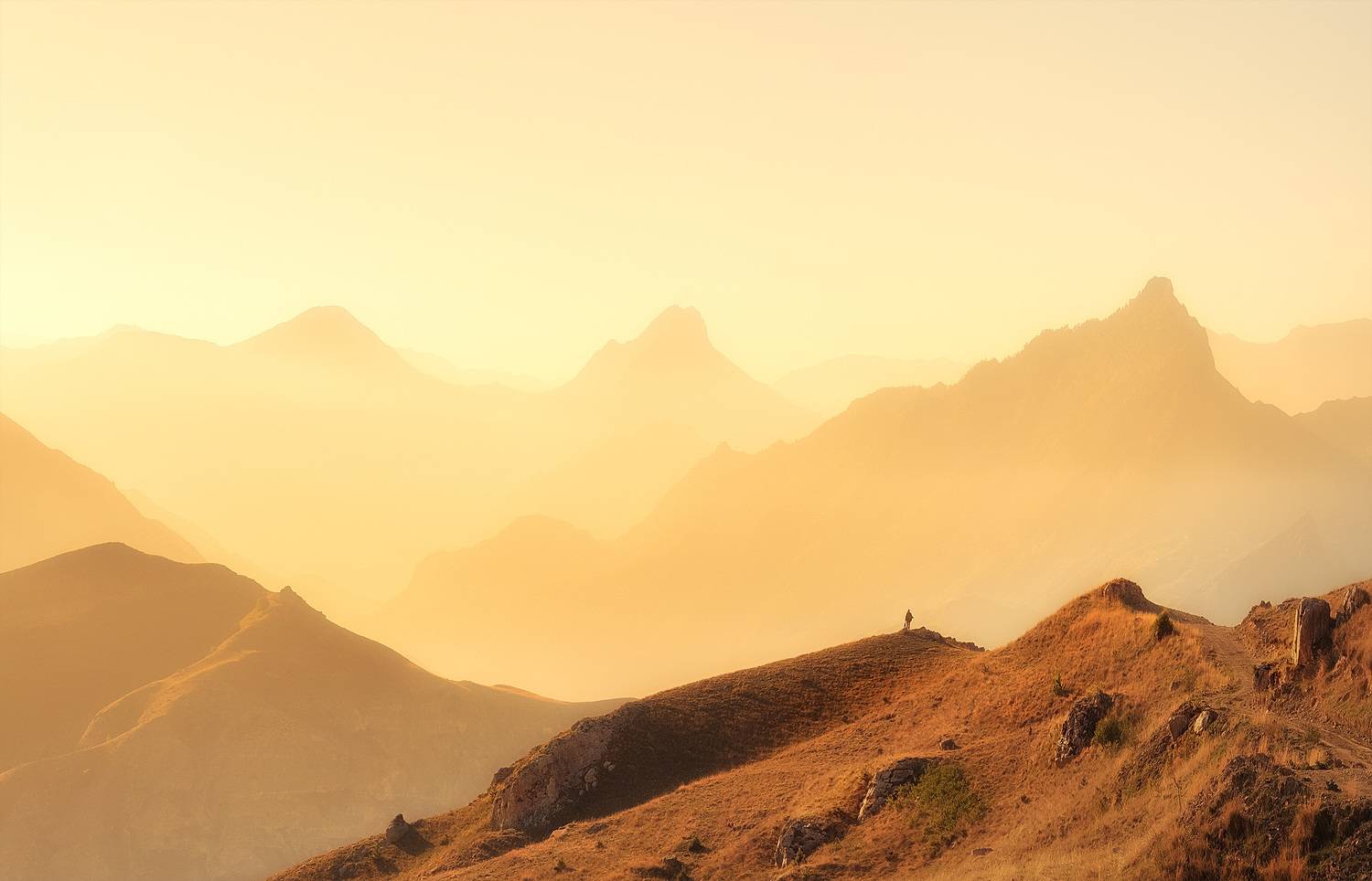 , Андрей Родионов