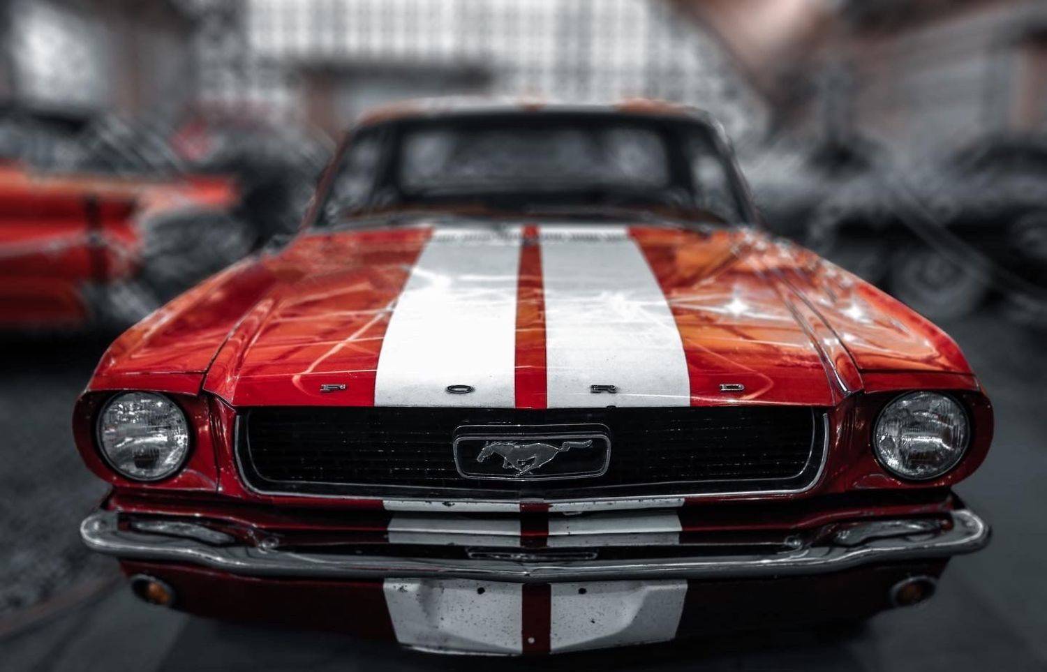 , Александр Шандов