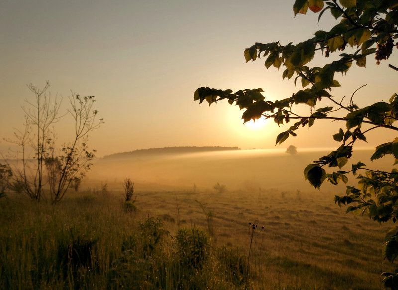 туман, рассвет, весна, солнце, природа, восход Майское утро. фото превью