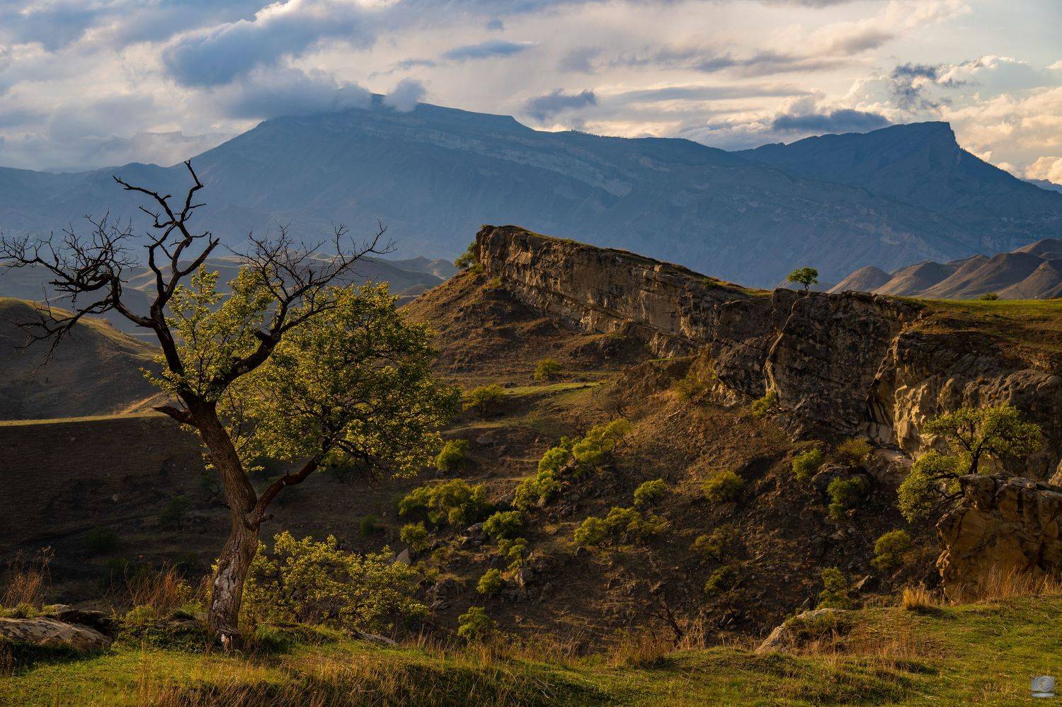 Дагестан, Ковалев Дмитрий