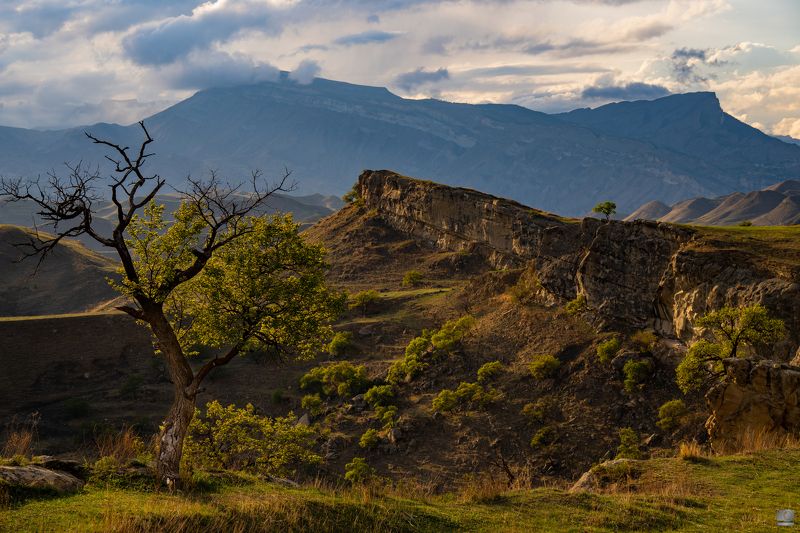 Дагестан Чох фото превью
