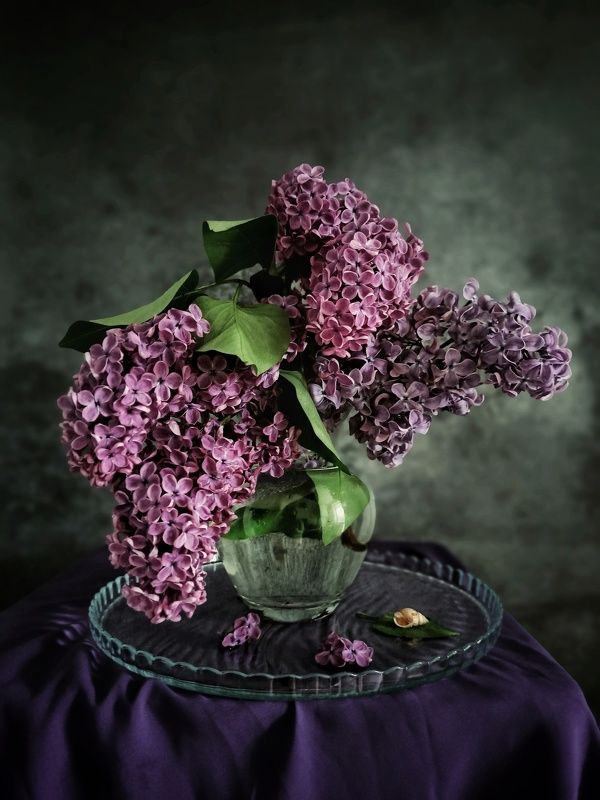 Букет сирени. фото превью