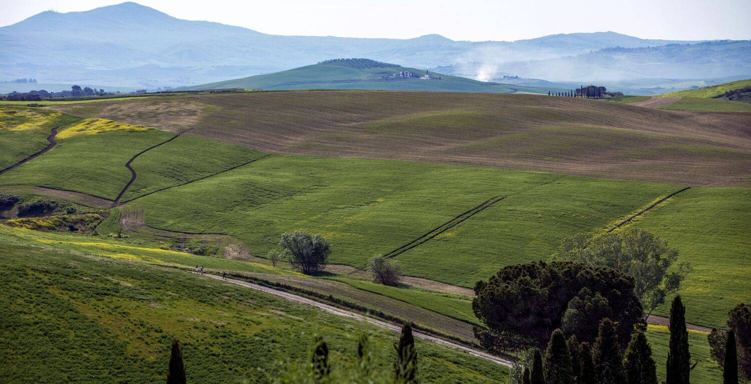 , Валентина Булкина