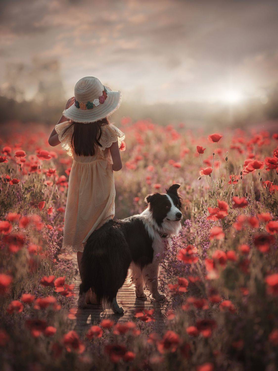 人像 儿童 宠物 狗, 宠物摄影师狗哥