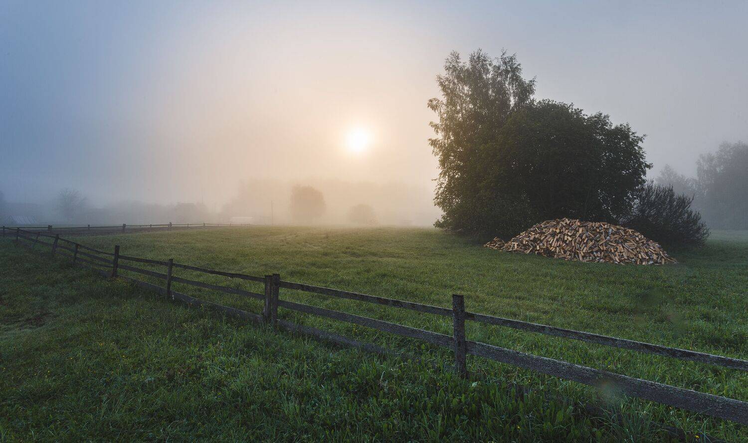 весна, туман, Зеленько Дмитрий