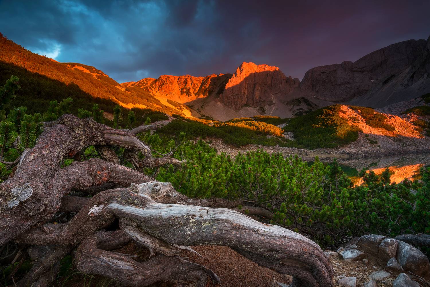 , Mariyana Atanasova - Lucero