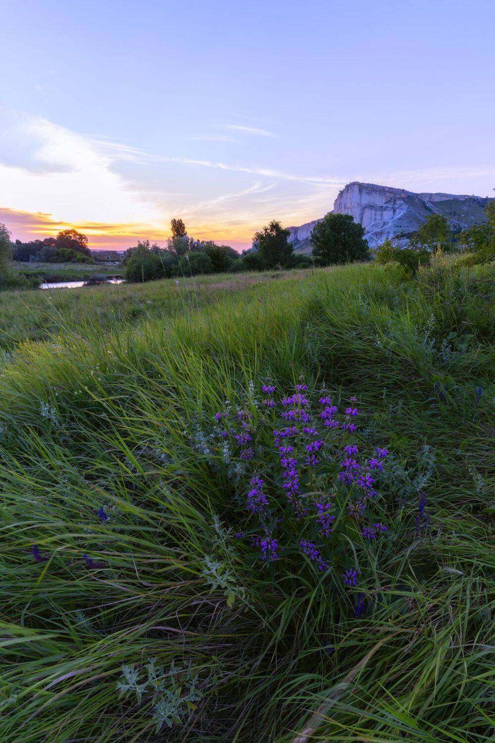 , Юлия Мальцева