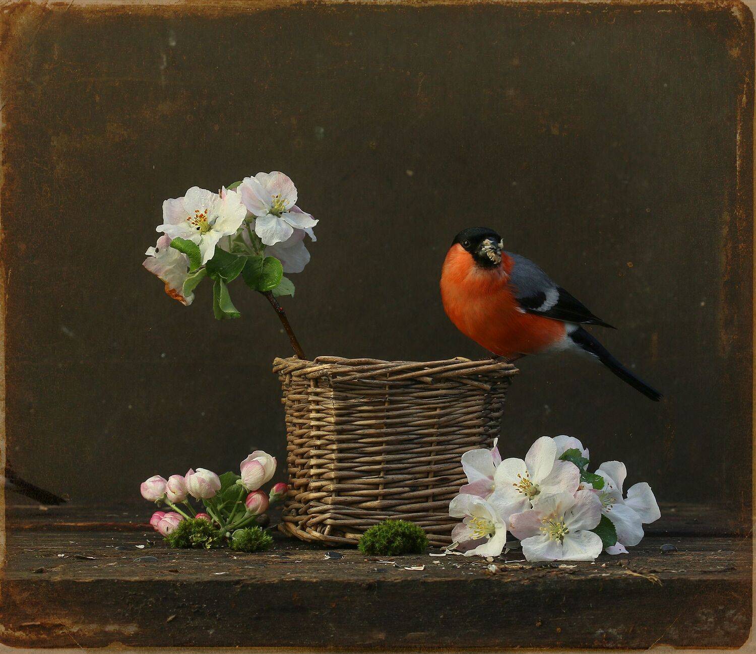 снегирь, Хромушин Олег