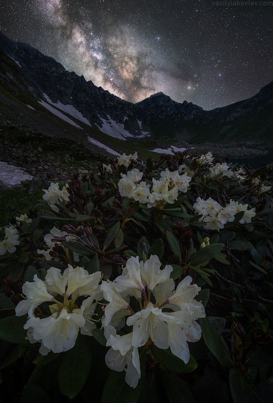 кчр, фототур, яковлевфототур, загеданские, иметеринские, озеро, безмолвия Ночь возле Загеданских озер фото превью