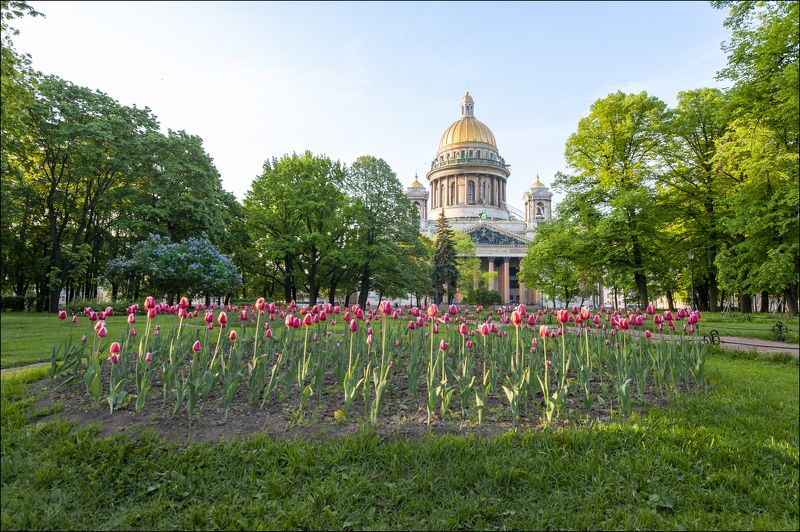 В парке фото превью