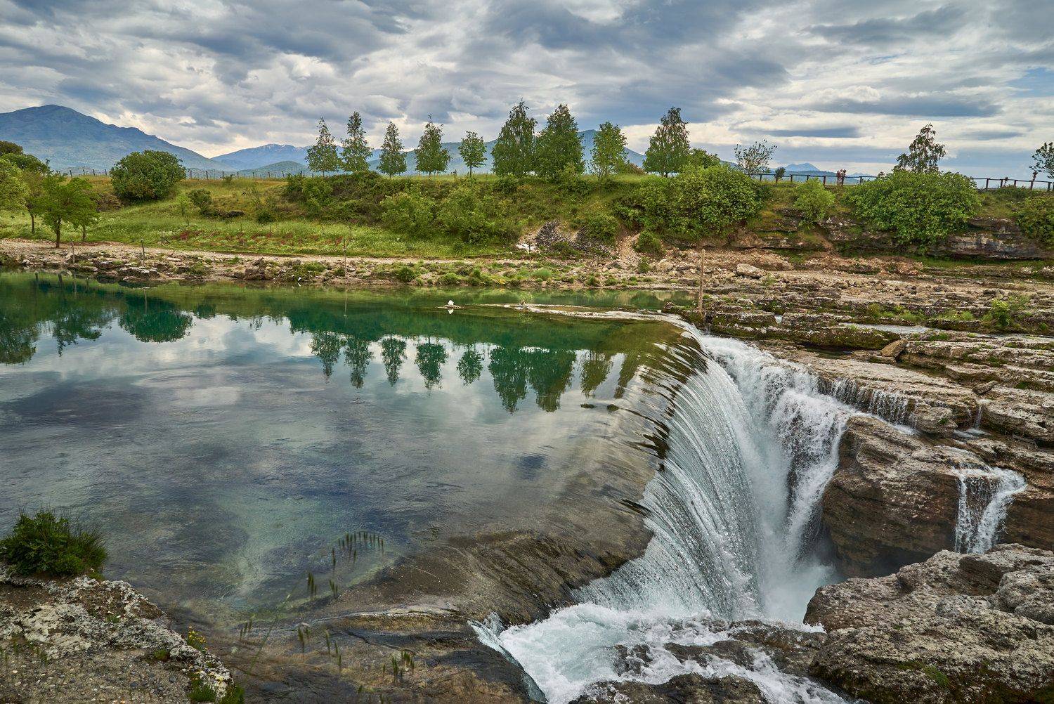 , David Solodar