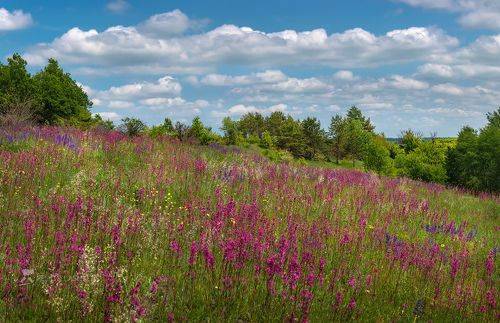 Майский день в Грайворонском районе