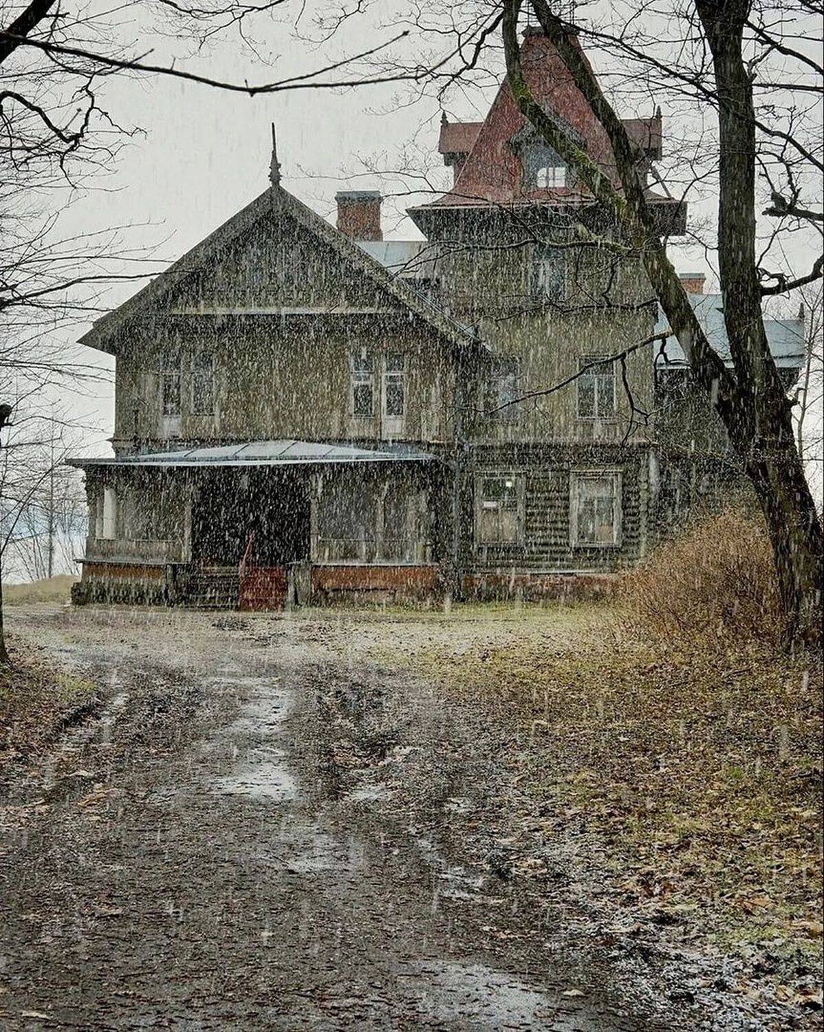 , Петр Косых