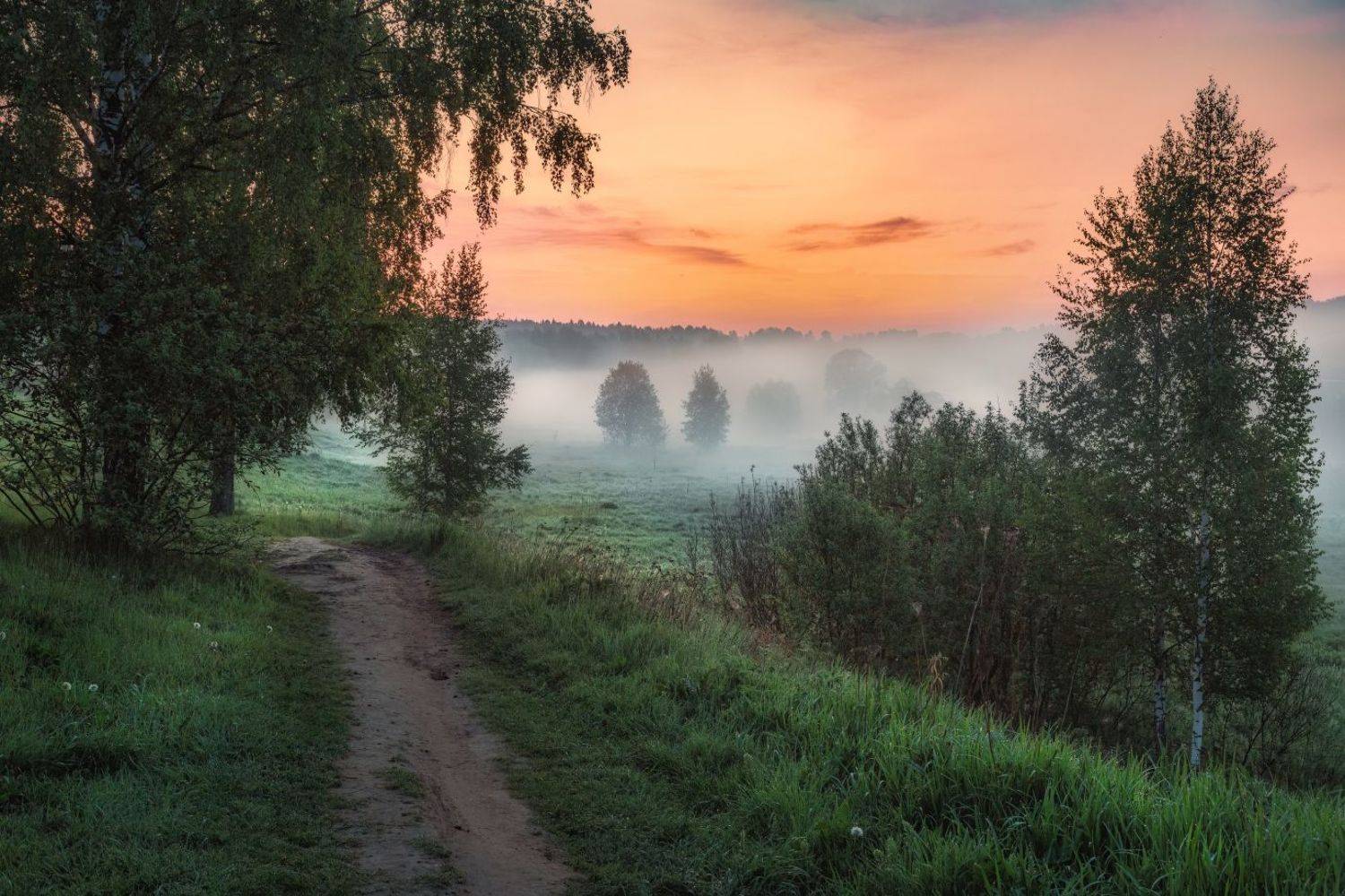 , Евгений Ерохин