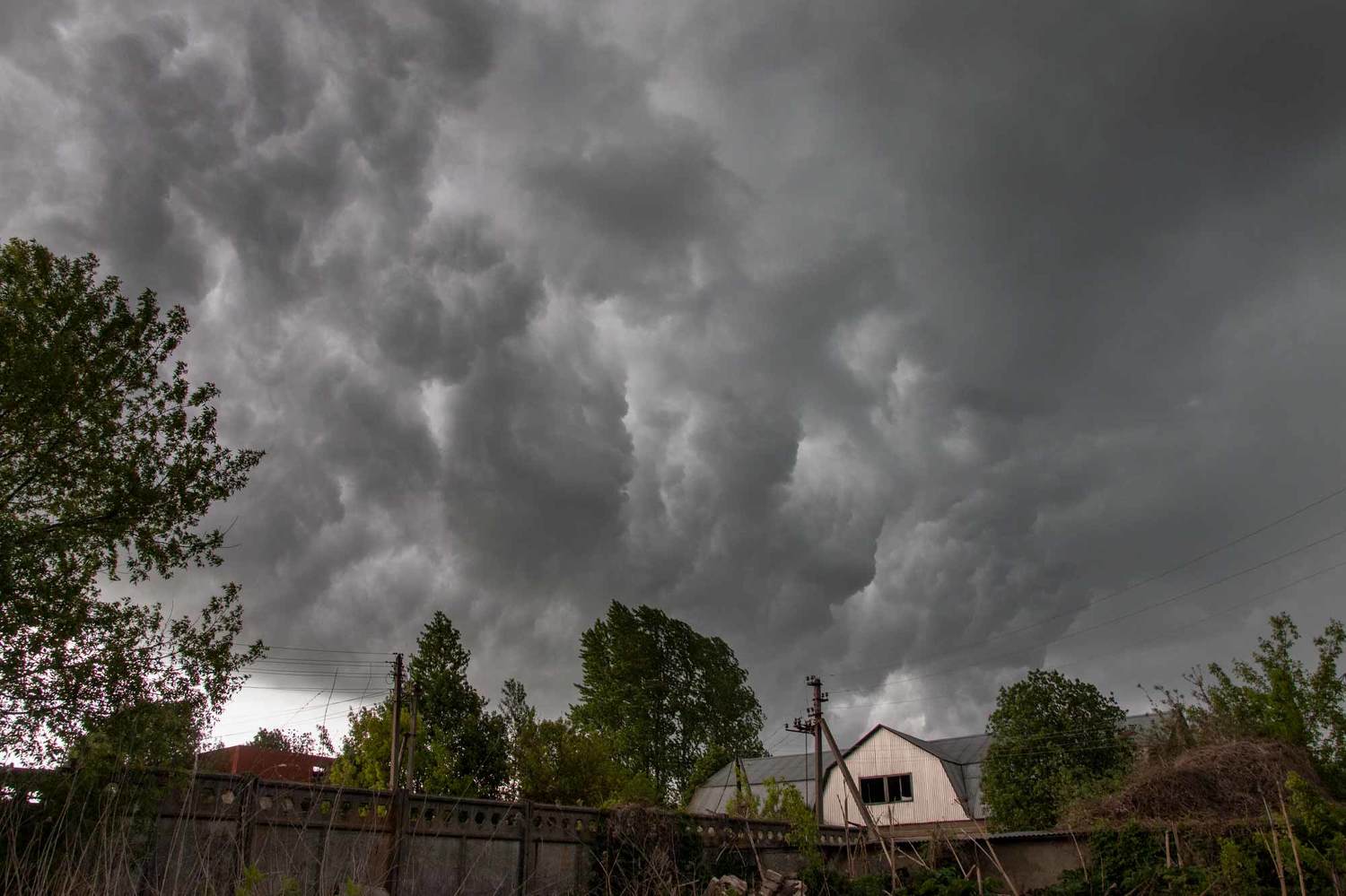 , Александр