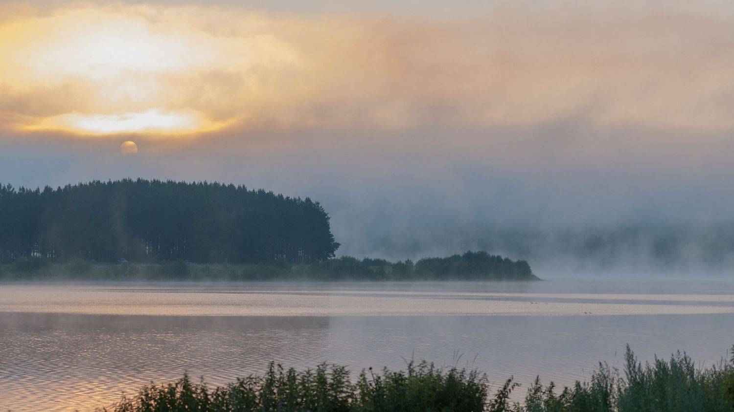 , Шустиков Дмитрий