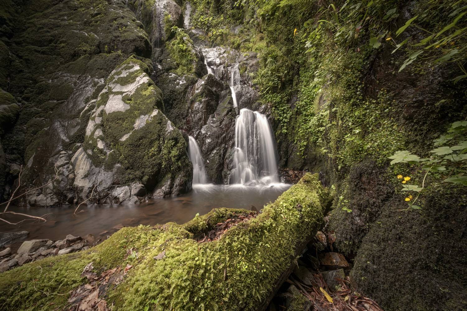 waterfall, kapnistavi, creek, water, wood, forest, stones, rocks, trees, green, moss, mountains, landscape, scenery, travel, outdoors, georgia, adjara, sakartvelo, chizh, Чиж Андрей