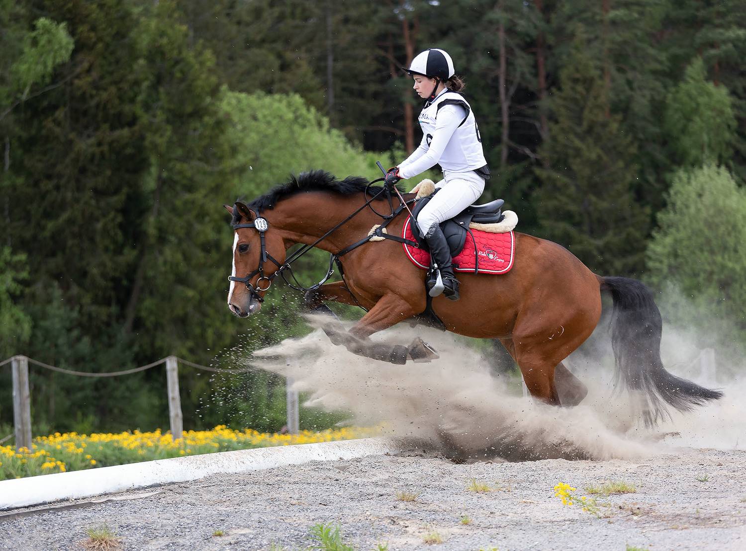 троеборье, конкур, спорт, соревнования, horses, sport, competition, movement, jump, Стукалова Юлия