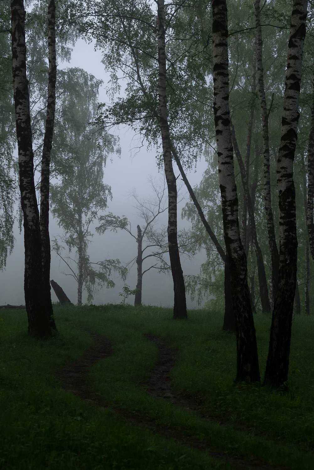 , Стрельцов Виталий