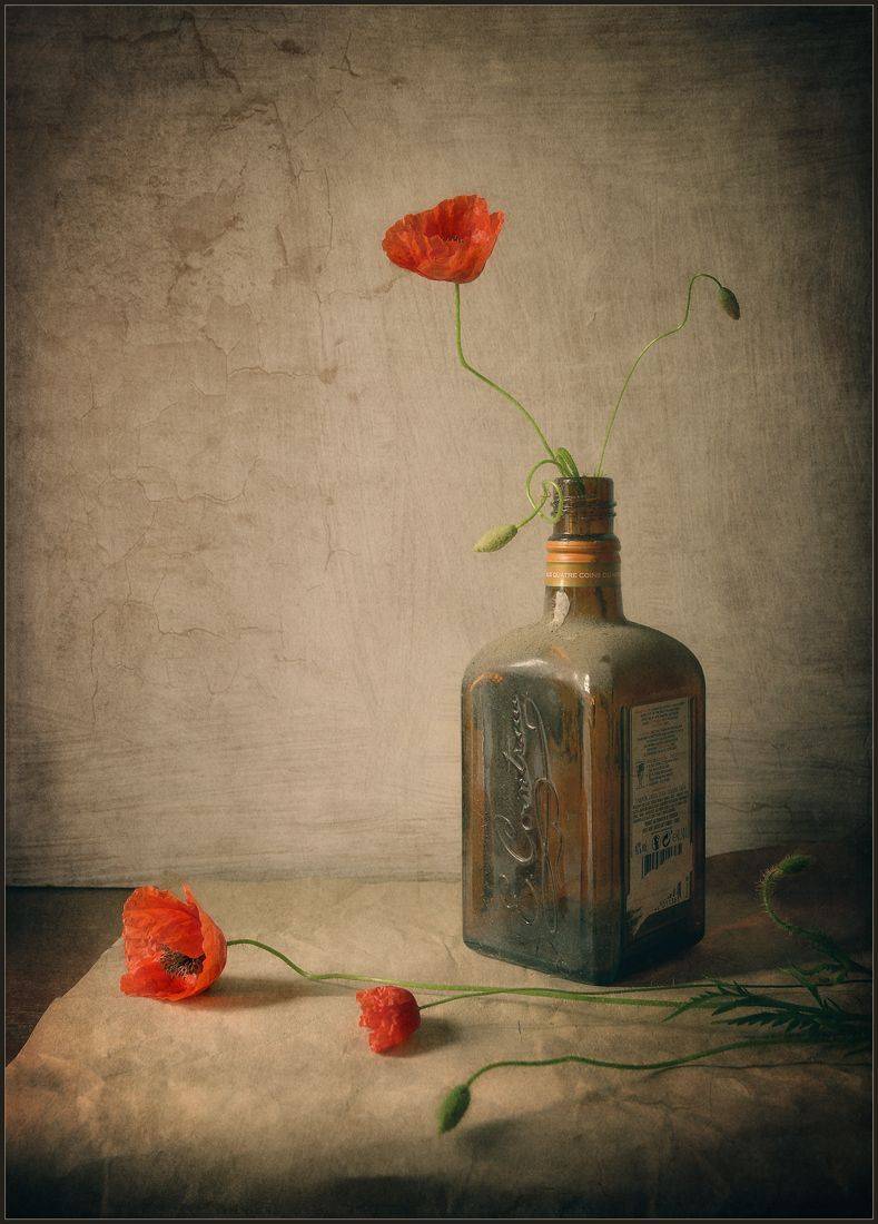 , Хромеев Александр