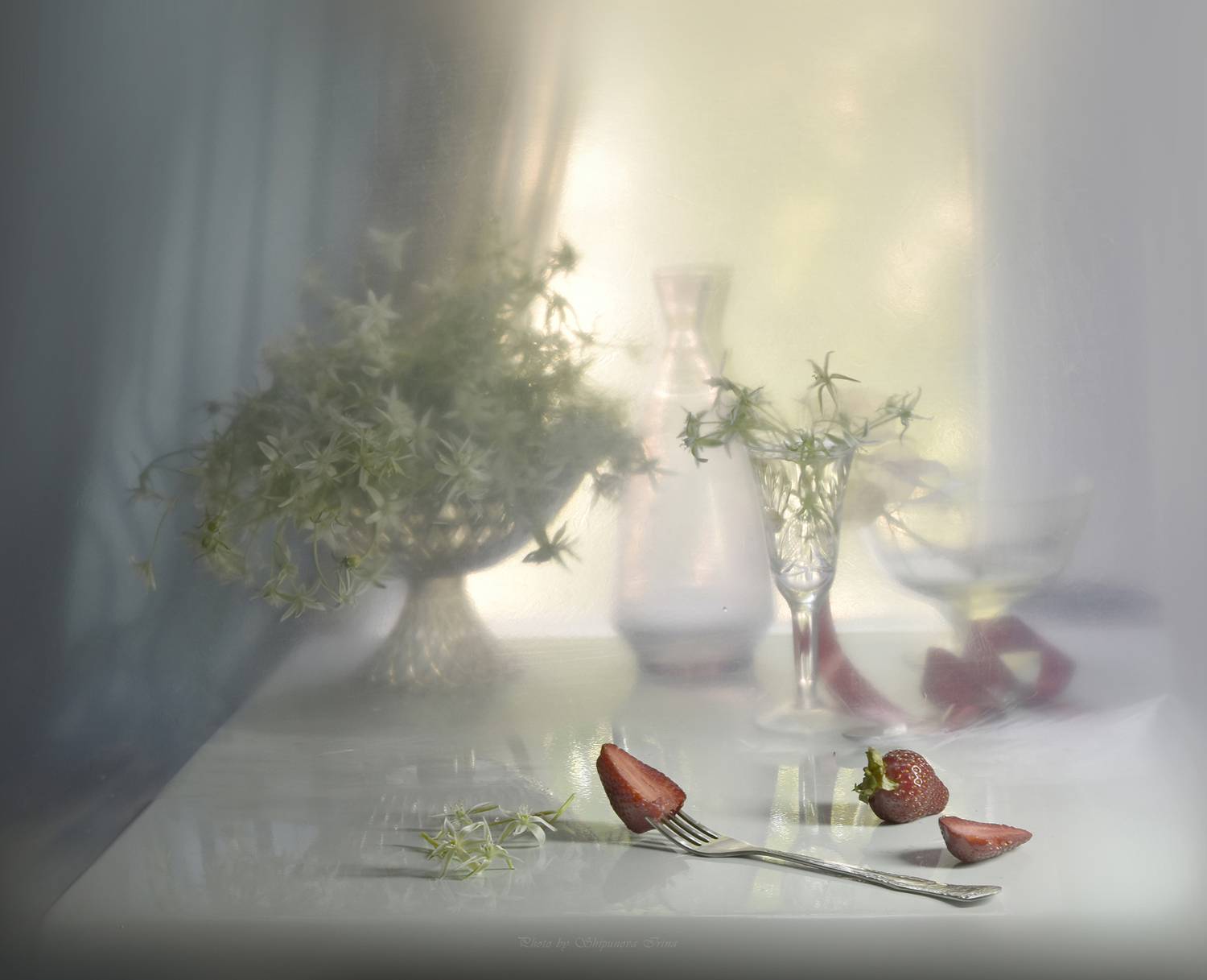 , Ирина Шипунова