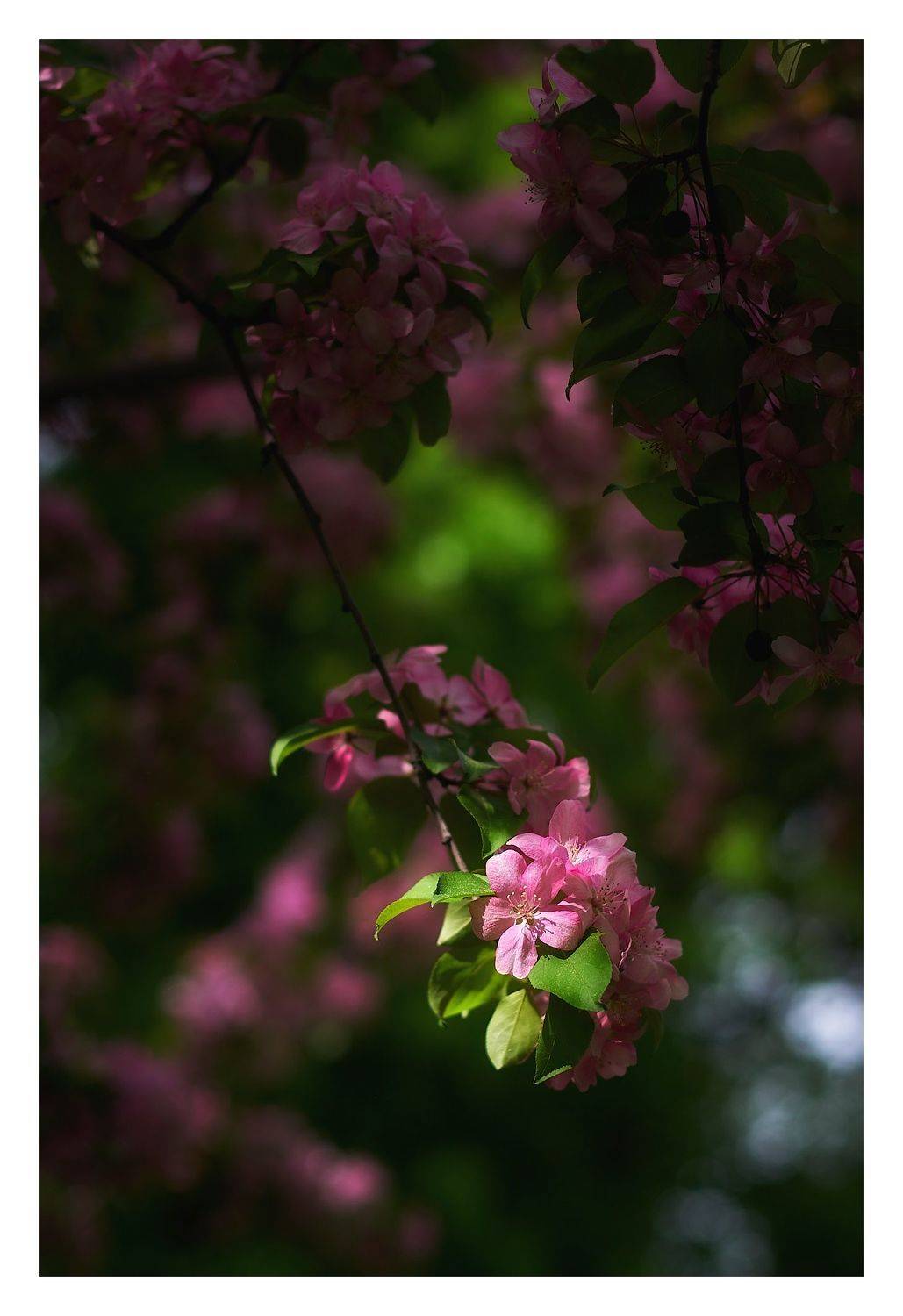 , Станислав