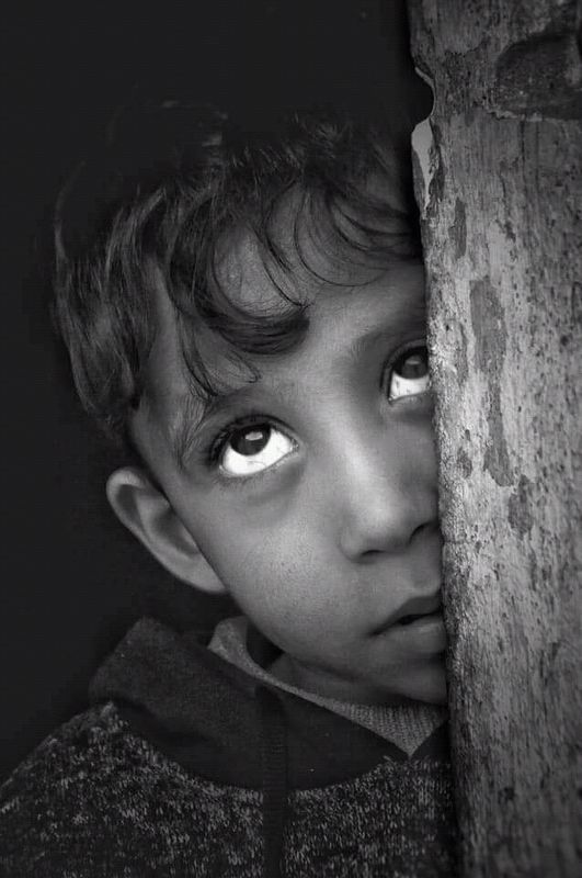 The eyes have a language that the world\'s dictionaries cannot translate фото превью